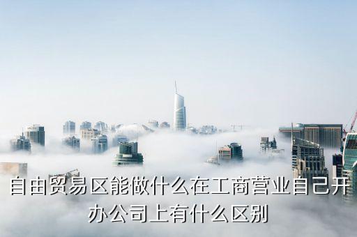 自貿(mào)區(qū)有什么生意做，自貿(mào)區(qū)可以做做小生意嗎