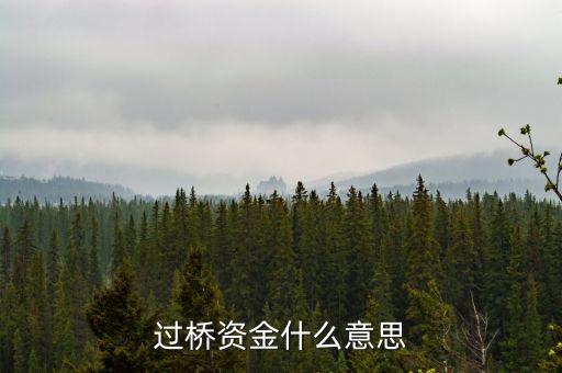 什么叫過(guò)橋資金，什么叫做過(guò)橋資金