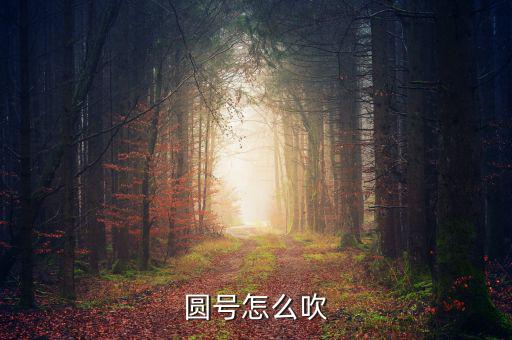 號怎么吹響,先復位胸后復位腹，這樣吹喇叭!