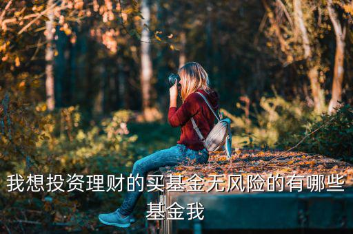 買什么基金是沒有風險，什么樣的基金沒有太大的風險