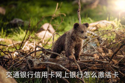 交通信用卡激活用什么手續(xù)，交通銀信用卡被注銷了怎么激活