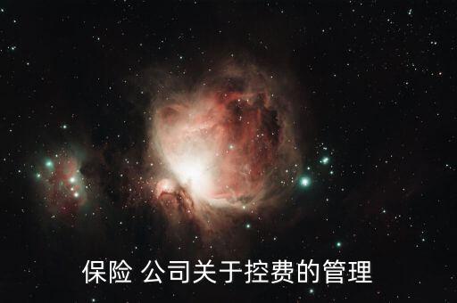 海虹控股公司怎么樣,醫(yī)療it公司才剛開(kāi)始推進(jìn)醫(yī)?？刭M(fèi)系統(tǒng)