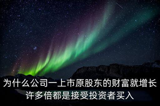 財富公司為什么這么多，為什么公司一上市原股東的財富就增長許多倍都是接受投資者買入