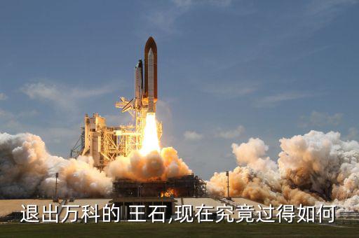 王石現(xiàn)在怎么樣,王瑞杰:等我成功，萬科就不需要王石