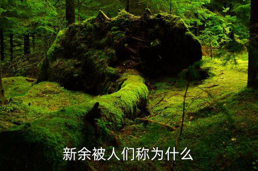 新余的簡稱是什么，新余屬于哪個省的管轄哪些地方