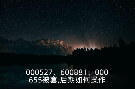 000527、600881、000655被套,后期如何操作