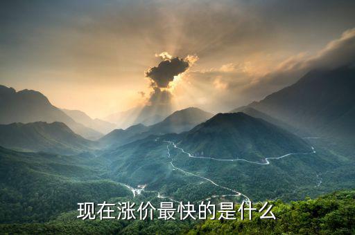 什么漲價快，大家猜猜看 什么東西會漲價的很快