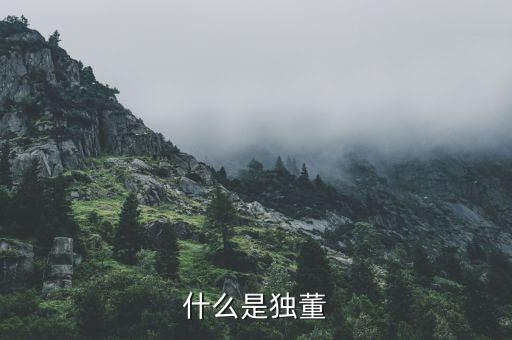 什么是官員獨(dú)董，懂事和獨(dú)立董事有什么區(qū)別都起有什么作用