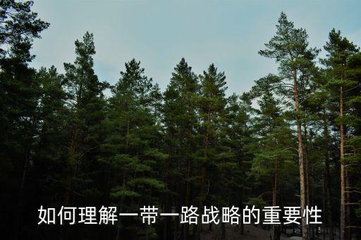 中國為什么要搞一帶一路，當代國際社會的知識分析我國為什么要提出一帶一路的倡