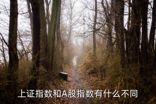 上證指數(shù)和A股什么區(qū)別，上證指數(shù)和A股指數(shù)有什么不同