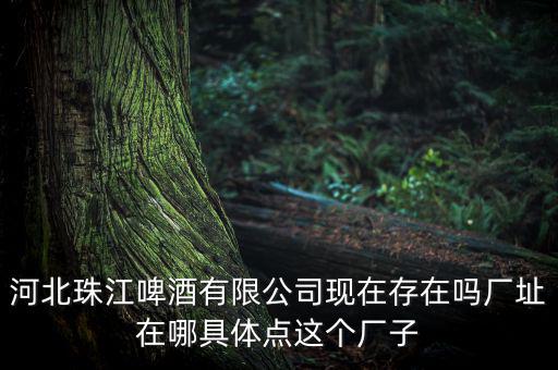 珠江啤酒為什么停牌，為什么市面上找不到珠江啤酒