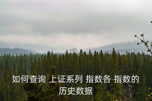 如何查詢 上證系列 指數各 指數的歷史數據