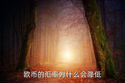 歐元為什么下跌，歐元下跌的真正原因是什么