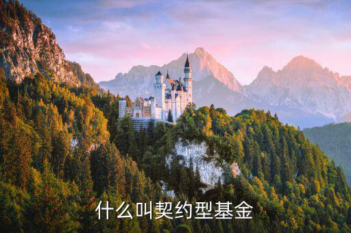 什么是合同型基金，什么叫契約型基金