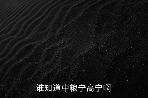 寧高寧為什么離開華潤(rùn)，誰(shuí)知道中糧寧高寧啊