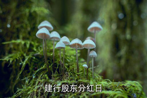 建設(shè)銀行什么時(shí)候分紅，601939 建設(shè)銀行什么時(shí)候分紅