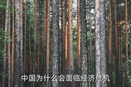 中國為什么會面臨經(jīng)濟(jì)危機(jī)