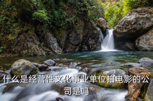 什么是經(jīng)營性事業(yè)單位，哪些屬于經(jīng)營性文化事業(yè)單位