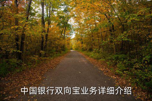 中行雙向?qū)毷鞘裁?，中國銀行雙向?qū)殬I(yè)務(wù)詳細介紹