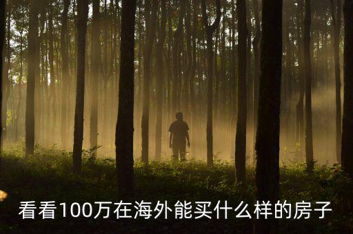 100萬(wàn)在國(guó)外能買(mǎi)什么，看看100萬(wàn)在海外能買(mǎi)什么樣的房子
