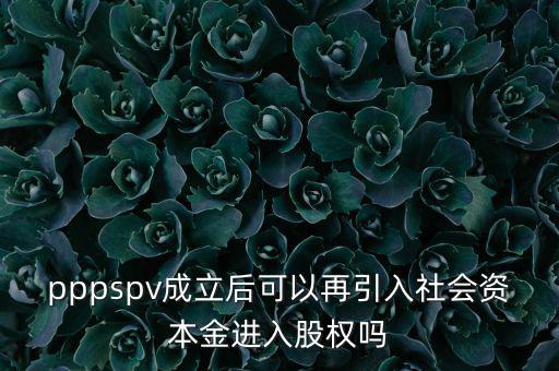 spv公司是什么意思，spv公司是獨立法人