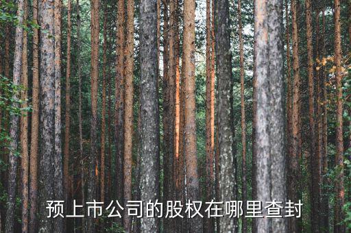 預上市公司的股權在哪里查封