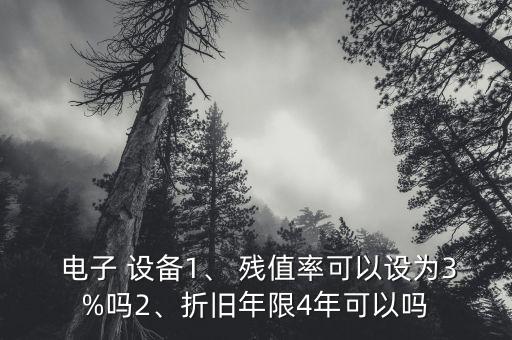  電子 設(shè)備1、 殘值率可以設(shè)為3%嗎2、折舊年限4年可以嗎