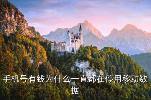 鏈動數(shù)據(jù)為什么有錢，廣東鏈動為什么那么多人認同和喜歡
