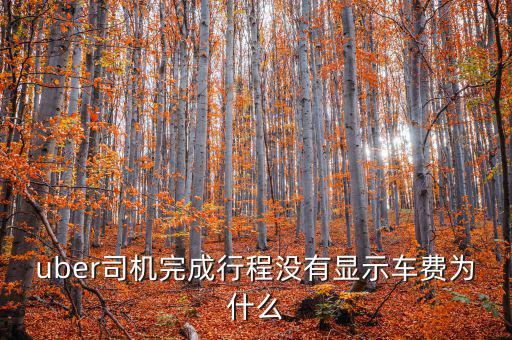 uber為什么不顯示價(jià)格，優(yōu)步叫車前看不到價(jià)格