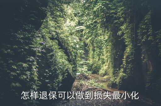 什么辦法能退保險(xiǎn)不損失，退保怎樣能減少損失