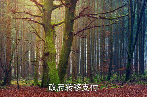 為什么政府提供實(shí)物轉(zhuǎn)移支付，一個(gè)國(guó)家為什么要執(zhí)行轉(zhuǎn)移支付制度