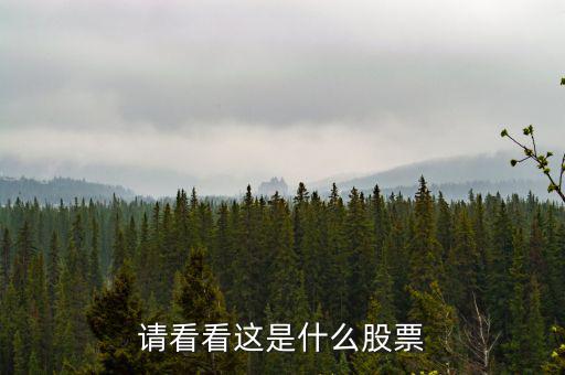 993961是什么股票，請(qǐng)看看這是什么股票