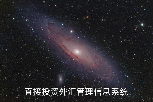 外資上什么傳到外管局應(yīng)用平臺(tái)，直接投資外匯管理信息系統(tǒng)
