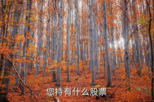 張正委持有什么的股票，香港中央代理人持有哪些股票