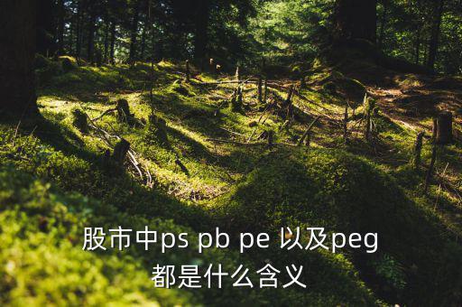 股市peg是什么意思，請(qǐng)問在股市里的PEG是什么意思和股價(jià)的關(guān)系怎樣多謝
