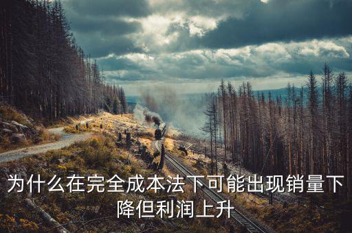 為什么制造沒有銷售利潤高，現在制造品為什么賣不出