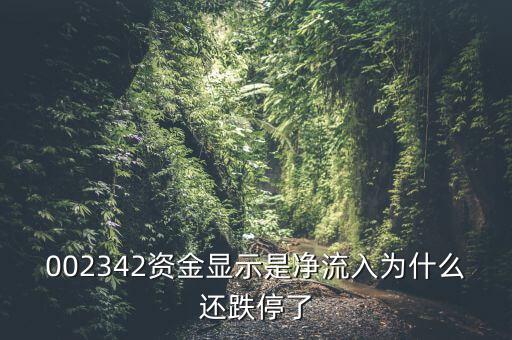 資金凈流入為什么還跌停，資金凈流入怎么還跌停了