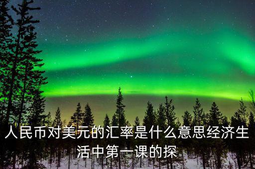 人民幣對美元的匯率是什么意思經(jīng)濟(jì)生活中第一課的探