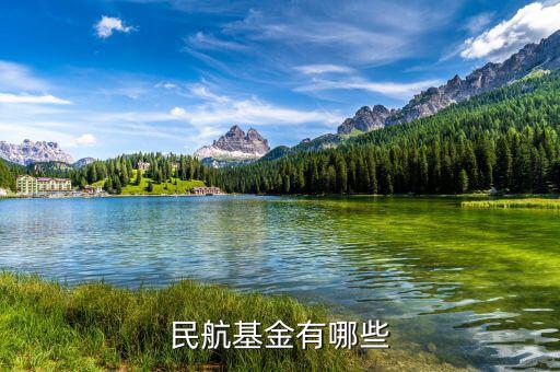 飛機(jī)票還有什么民航基金，民航基金有哪些