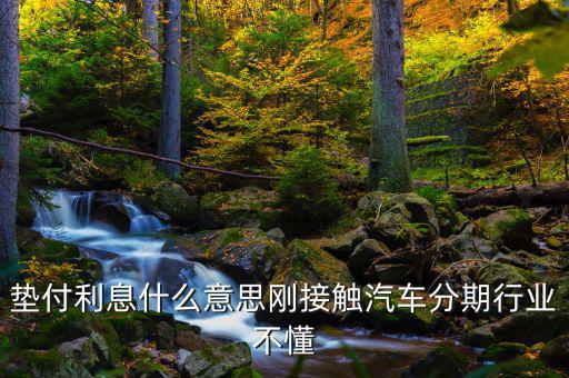 墊付利息是什么意思，紅利保險(xiǎn)會(huì)自動(dòng)墊付期間會(huì)出利息