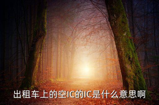 什么是ic空白卡，IC卡是什么