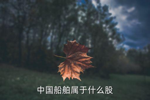 中國船舶是什么板塊，中國船舶原始股每股多少人民幣
