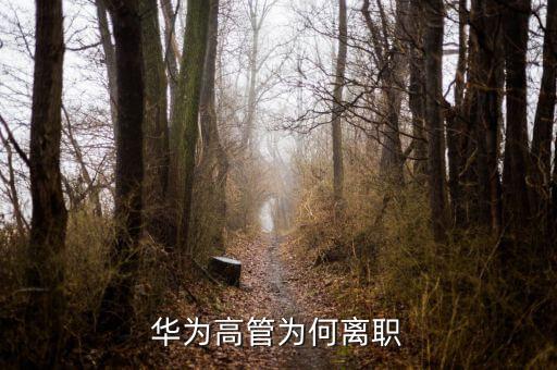 范家輝為什么離職，美國駐華大使家輝為什么宣布將辭職為什么來的如此的突然