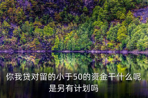 你我貸為什么我要投2萬才能減50，你我貸對留的小于50的資金干什么呢是另有計劃嗎