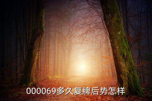 大洲興業(yè)什么時(shí)候復(fù)牌，000560各位大神知道啥時(shí)候復(fù)牌