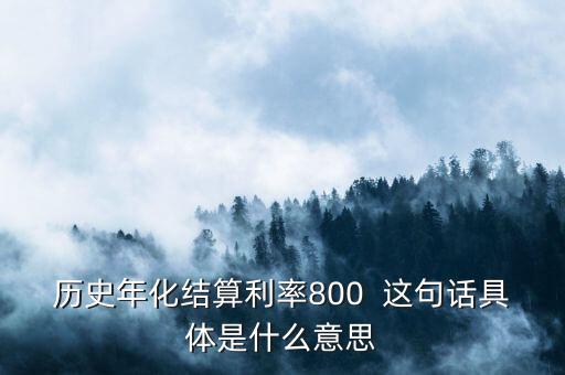 年化結(jié)算利率是什么，歷史年化結(jié)算利率800  這句話具體是什么意思