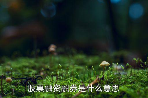 什么是融資融券業(yè)務(wù)，融資融券業(yè)務(wù)是指證券公司向客戶出借資金供其買(mǎi)入證券或者出借