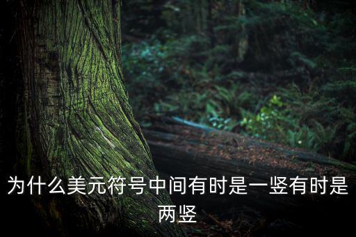 比美元符號(hào)多一豎是什么，一個(gè)很像美元的符號(hào) 但是那一豎是不貫穿S的 也就是S上面有一小豎
