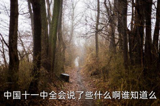 中國(guó)十一中全會(huì)說了些什么啊誰知道么