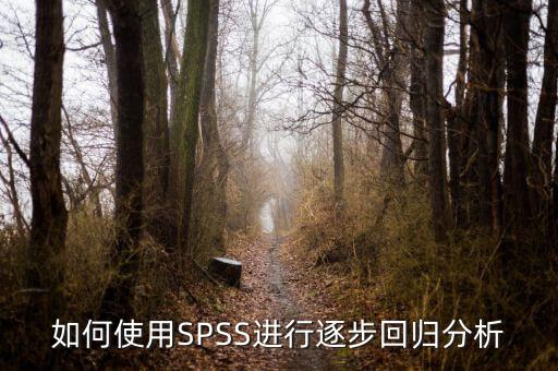 逐步回歸用什么軟件，關(guān)于spss相關(guān)分析和逐步回歸分析之間的一些疑問(wèn)